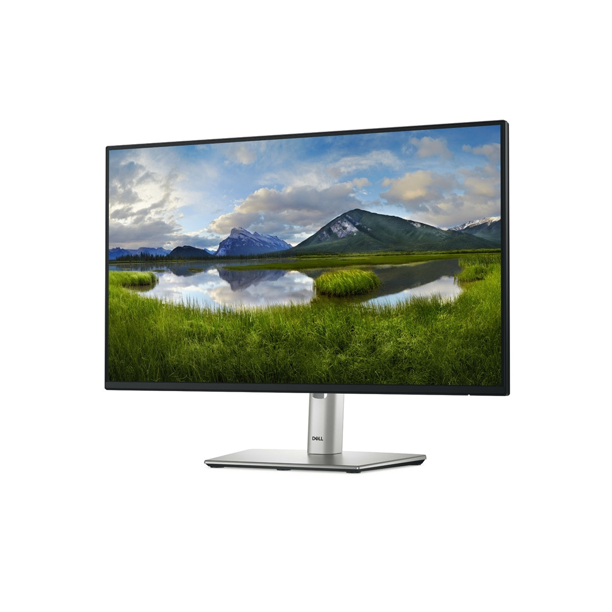 Monitor Dell P2425H IPS 23,8" FULLHD HDMI, VGA, DP, USB-C